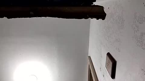 Snapshot of dixonbird41 chatting on 02-18-25, 03:54 dixonbird41 online show from 02-18-25, 03:54