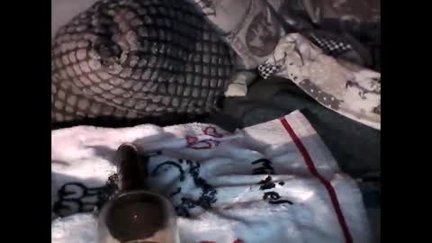 Snapshot of djangodave569829 chatting on 10-04-25, 11:25 djangodave569829 online show from 10-04-25, 11:25