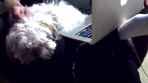 DKdad online show from 12-04-25, 03:43