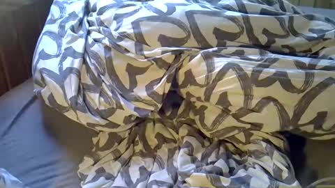 DKdad online show from 04-06-26, 02:07