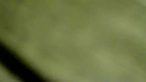 Doby online show from 01-15-26, 10:46