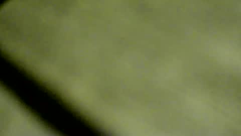 Doby online show from 04-08-26, 09:48