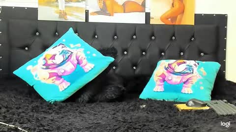 C E L E S T E  online show from 12-22-24, 04:06