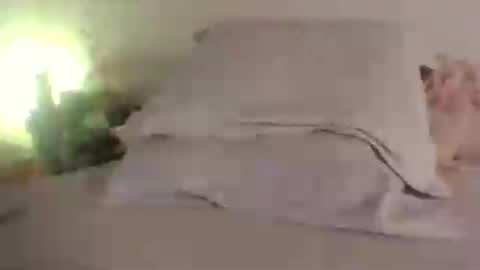 Snapshot of doll_dollys_ chatting on 06-30-26, 05:14 doll_dollys_ online show from 06-30-26, 05:14