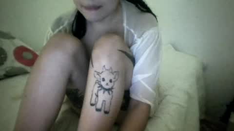 Snapshot of doll_dollys_ chatting on 07-17-26, 01:56 doll_dollys_ online show from 07-17-26, 01:56