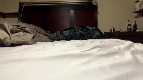 Snapshot of dolphin22356 chatting on 01-11-25, 06:45 Ben Dover online show from 01-11-25, 06:45