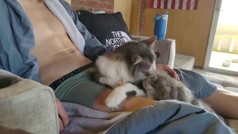 dommepleasemistress online show from 03-22-26, 05:05