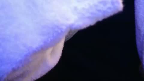 Snapshot of domse999 chatting on 02-17-25, 11:34 domse999 online show from 02-17-25, 11:34