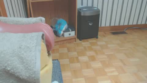 Don online show from 06-14-26, 04:53