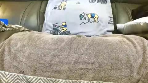 LuvmycockTS69 online show from 11-14-25, 03:16