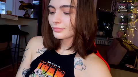 Snapshot of dorfmatratze_ chatting on 12-12-24, 08:14 Alice online show from 12-12-24, 08:14