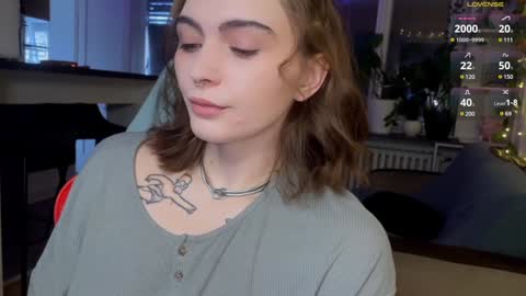 Snapshot of dorfmatratze_ chatting on 12-23-24, 08:44 Alice online show from 12-23-24, 08:44