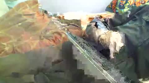 Hello  welcome to Slutsville  I am the Naked Chef  really  but you may call me Peter online show from 04-18-26, 12:20