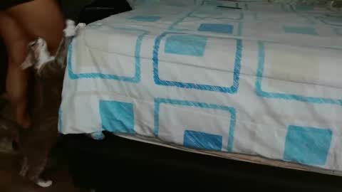 dreamreal online show from 11-01-25, 02:41