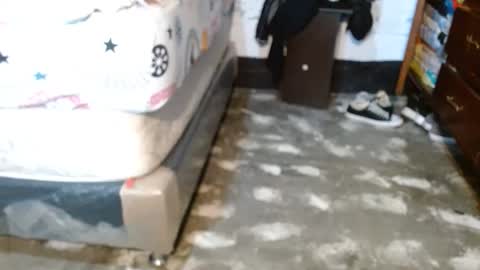 dreamreal online show from 04-11-26, 10:52