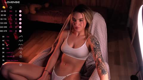 Snapshot of dreamaise chatting on 12-13-24, 10:51  Mary   pvt open    use pink and blue app lovense online show from 12-13-24, 10:51