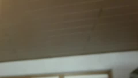 Snapshot of dreambob chatting on 12-21-25, 11:17 Dreambob online show from 12-21-25, 11:17