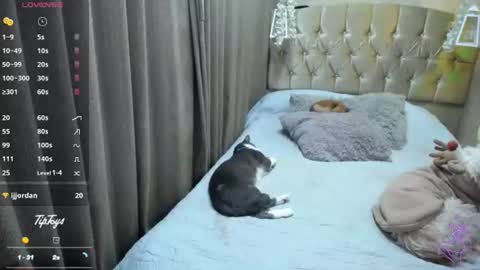 Sophia online show from 07-10-26, 11:40