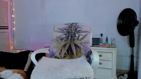 drippyorlove online show from 04-16-26, 09:39