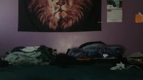 Snapshot of dripthehit chatting on 01-10-25, 05:56 dripthehit online show from 01-10-25, 05:56