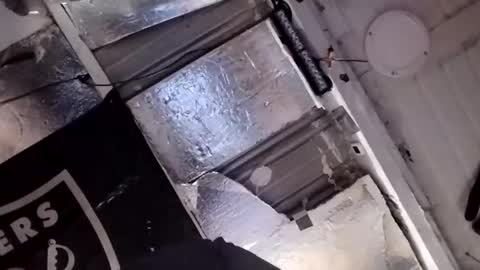 Snapshot of dsmock chatting on 02-15-26, 10:58 dsmock online show from 02-15-26, 10:58