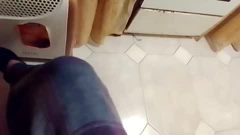 dthedog12 online show from 02-15-26, 02:19