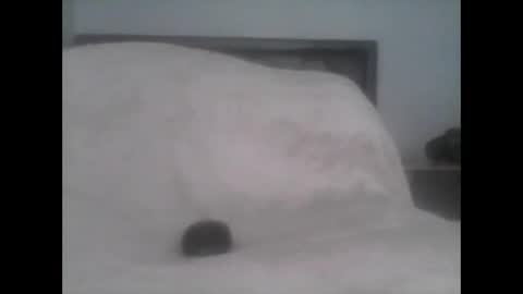 Snapshot of dudek0 chatting on 11-01-25, 02:19 dudek0 online show from 11-01-25, 02:19