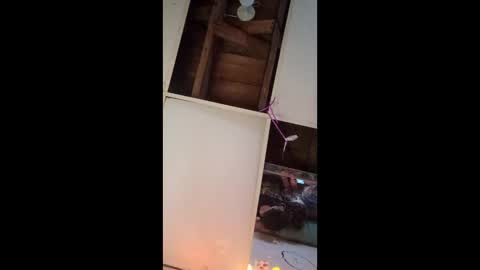 dukenbettykinks online show from 04-17-26, 02:25