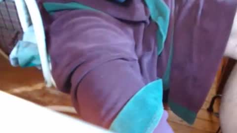 dunany101 online show from 03-07-25, 02:34