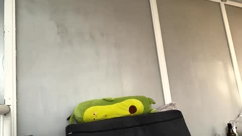 duracelshock online show from 04-17-26, 04:54