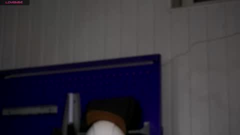 Dustyn online show from 11-23-25, 03:34