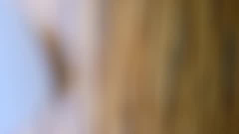 dVe1oPe online show from 10-17-25, 09:56