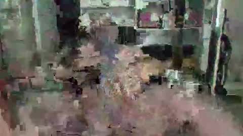 Snapshot of eagleye46 chatting on 12-09-24, 04:47 eagleye46 online show from 12-09-24, 04:47