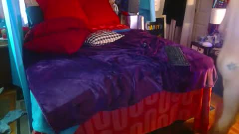 eastbayboy57 online show from 02-09-26, 12:53