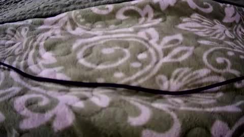 eatermo online show from 04-18-26, 07:34