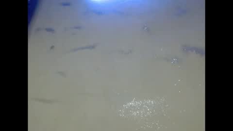 eatuupx online show from 12-05-25, 09:18