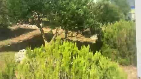 ebnk15 online show from 09-30-25, 08:08