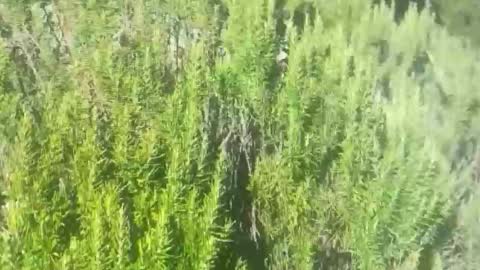 ebnk15 online show from 10-21-25, 01:12