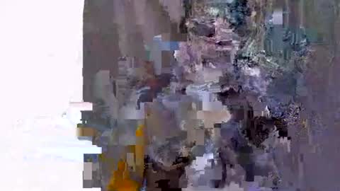 ebonyfire99 online show from 11-19-25, 06:13