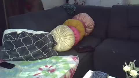 Snapshot of ebonykiki chatting on 01-12-25, 09:51 ebonykiki online show from 01-12-25, 09:51