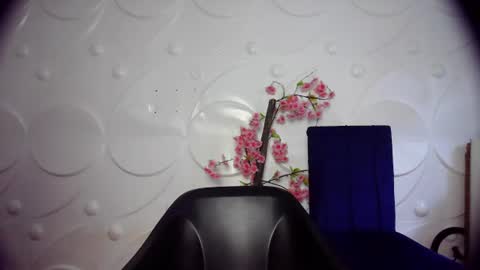 ebonykissxx online show from 06-26-26, 11:36