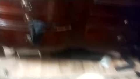 eboy4sale online show from 03-01-25, 11:50