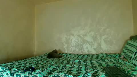 Nomyx  OF check online show from 11-14-25, 05:55