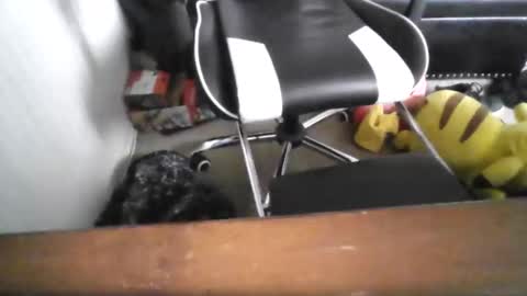 Snapshot of eddy815 chatting on 11-24-25, 10:53 eddy815 online show from 11-24-25, 10:53