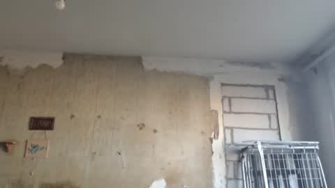 Alexander online show from 02-12-25, 01:16