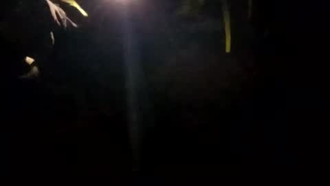 edmore1215 online show from 01-14-25, 10:17