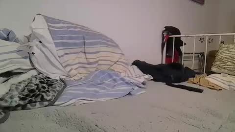 EdM online show from 02-12-26, 10:16