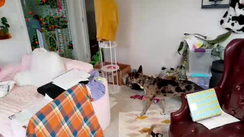 ejrabloom online show from 03-16-26, 07:29