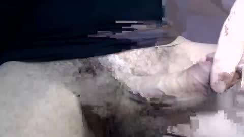 el gato lusty online show from 01-30-25, 01:42