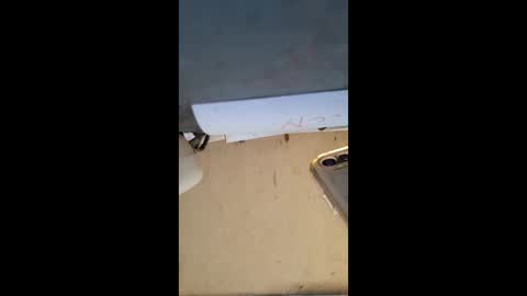 Snapshot of elaine33mae chatting on 03-03-26, 06:41 elaine33mae online show from 03-03-26, 06:41